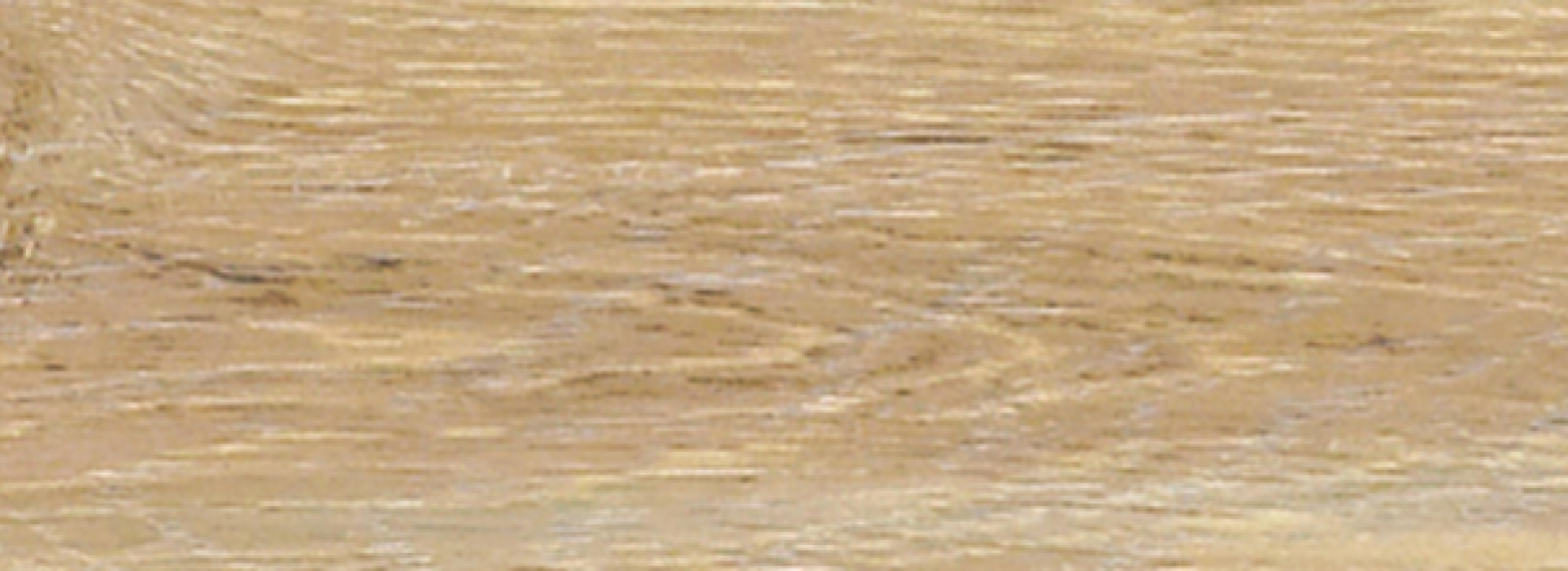 FOREST ROVERE 300x100