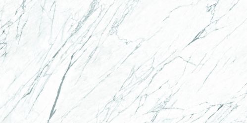 FPK01MQ011 Керамогранит LM STATUARIO ST 100X200
