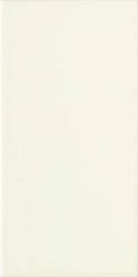 FZ3 Плитка SHELL 13X26