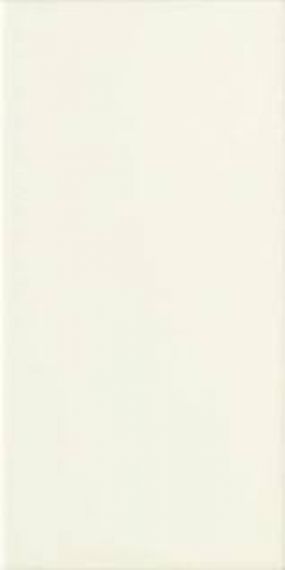 FZ3 Плитка SHELL 13X26