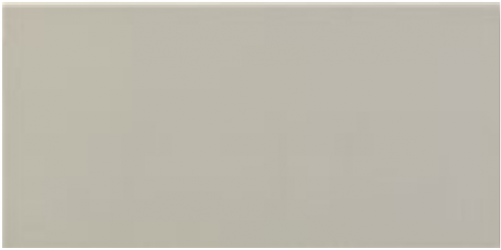 FZ9 AGAVE 13X26