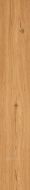 Feelwood Cognac 24x150