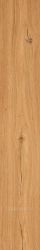 Feelwood Cognac 24x150