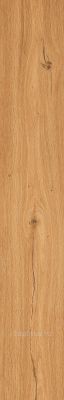 Feelwood Cognac 24x150