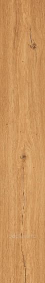 Feelwood Cognac 24x150