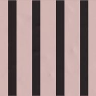 Fermo Rosa 20x20