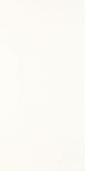 Fiori Bianco 30х60