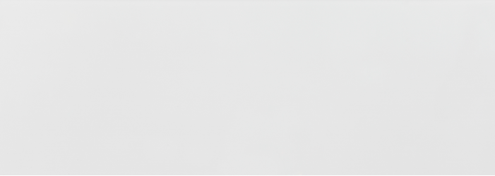 Flat Blanco Brillo 25x70