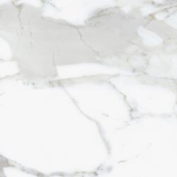 Floor Bianco Calacatta 41.5x41.5