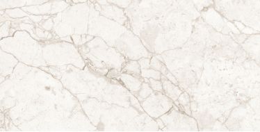 Florencia Grey Carving 60x120