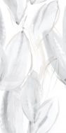 Florida-Pul Blanco RP 59x119