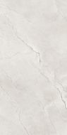 Flority Ash Glossy 60x120