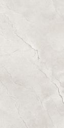 Flority Ash Glossy 60x120