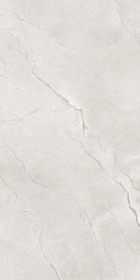 Flority Ash Glossy 60x120
