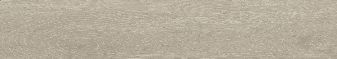 Forest Argent Matt 20x120