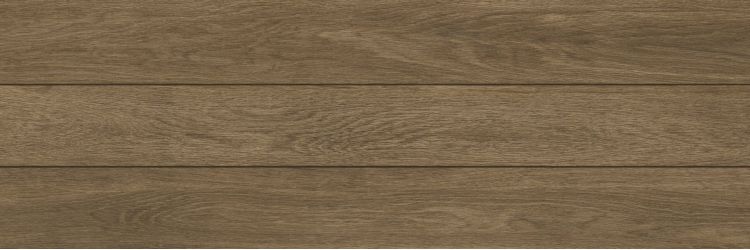 Forest Atlas Honey 31x93