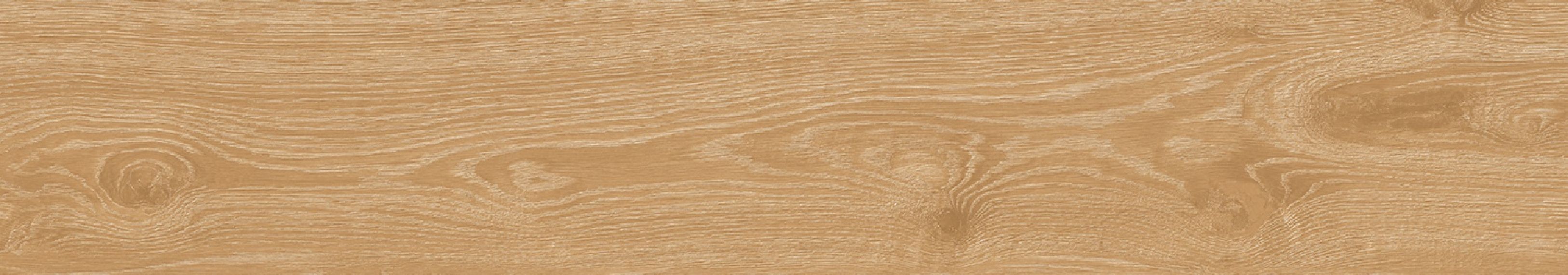 Forest Miel Matt 20x120