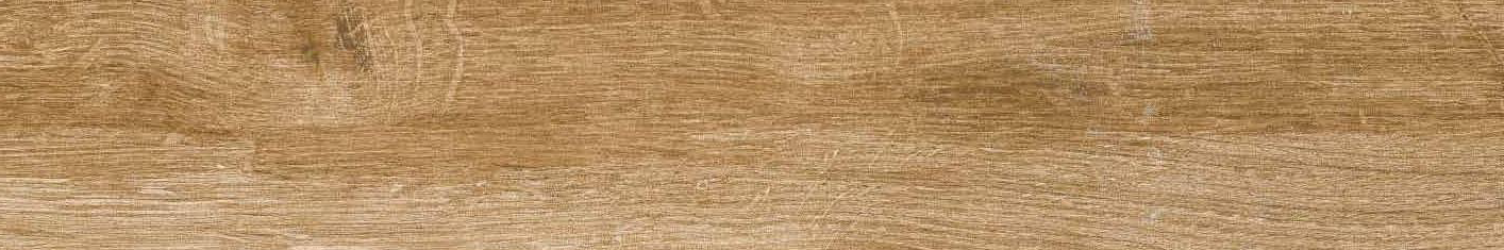 Forest Naturalia Bruno Matt 20x120x1