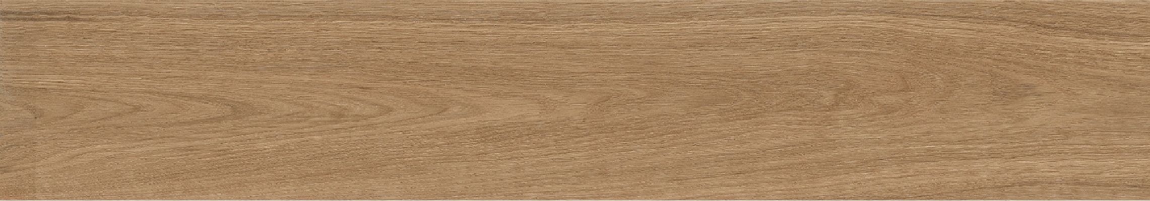 Forest Palm Matt 20x120
