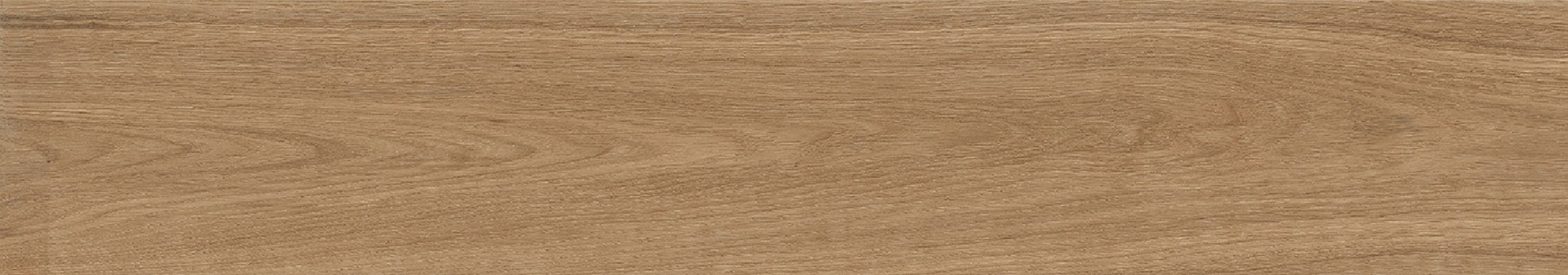 Forest Palm Matt 20x120