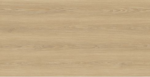 Foresta Miel Matt Carving 60x120