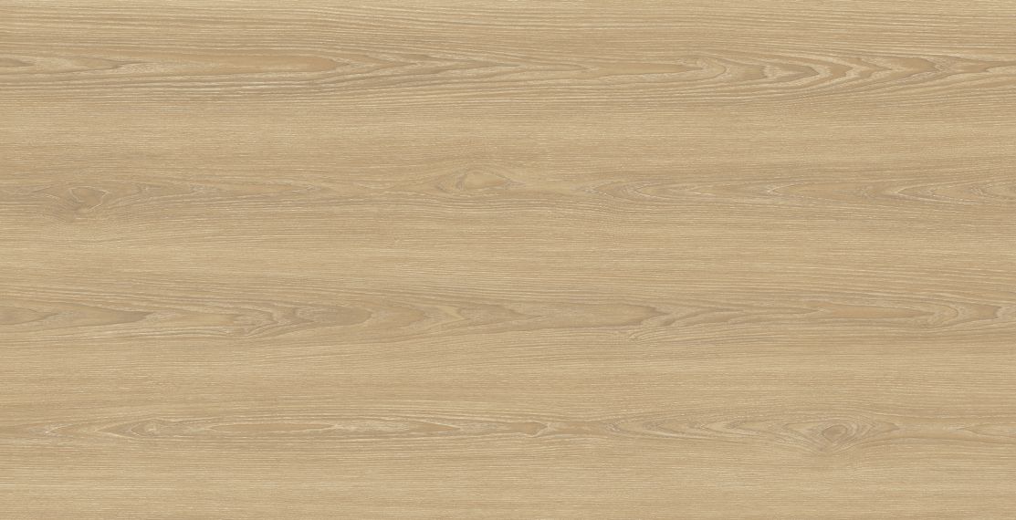 Foresta Miel Matt Carving 60x120