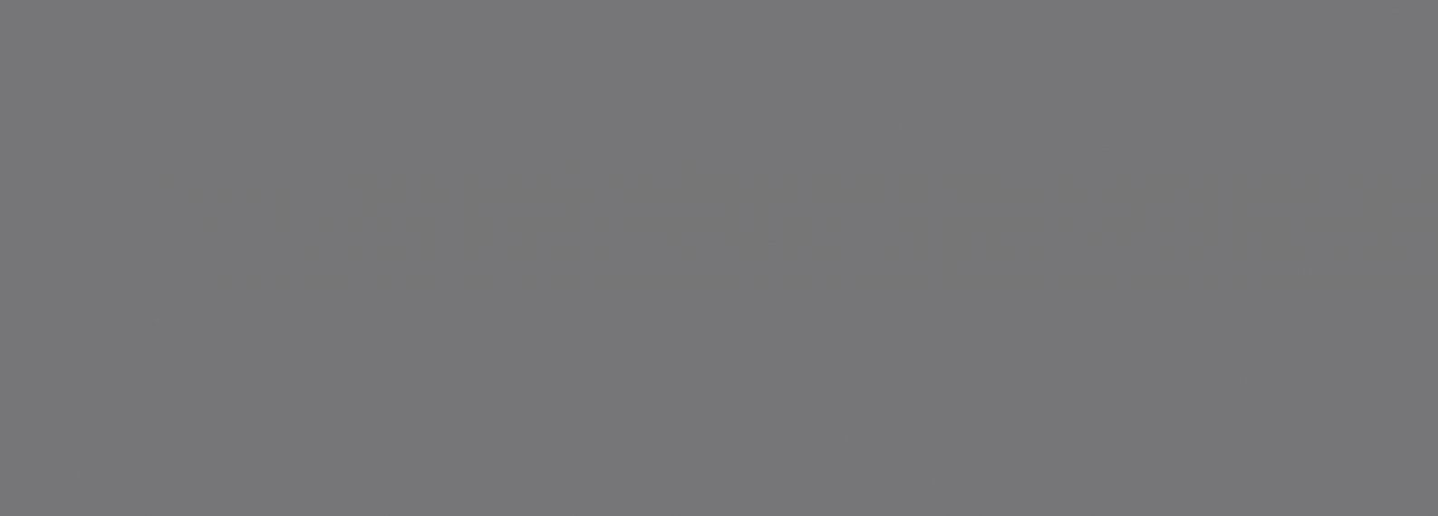Foresta Silver 24.2x70