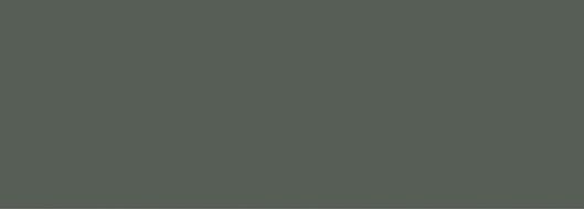 Foresta Verde 24.2x70