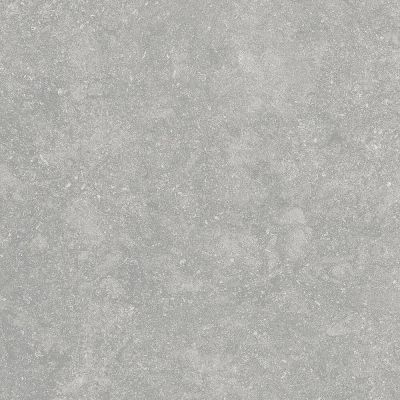 Fossil Gris 20mm 60x60