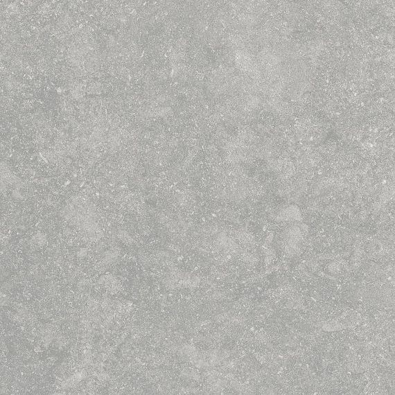 Fossil Gris 20mm 60x60