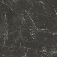 Fox Graphite Pulido 120x120