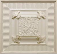 Frame Selecta Vison 25x25