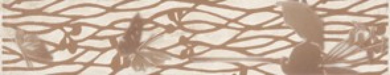 Frezja Beige 4,8x25