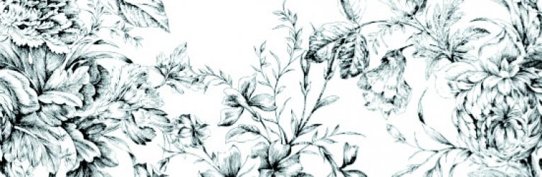 Frunce-4 25x75