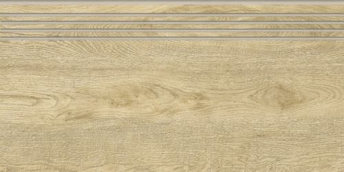G-251/SR/st01 Italian Wood 20х60