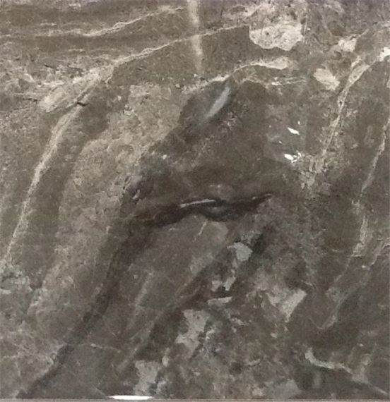 G.Danae Antracita 45x45