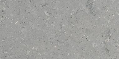 G213 Arkaim Grey MR 60x120
