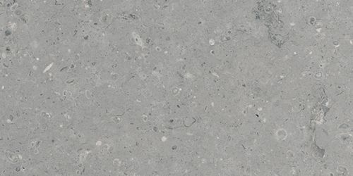 G213 Arkaim Grey MR 60x120