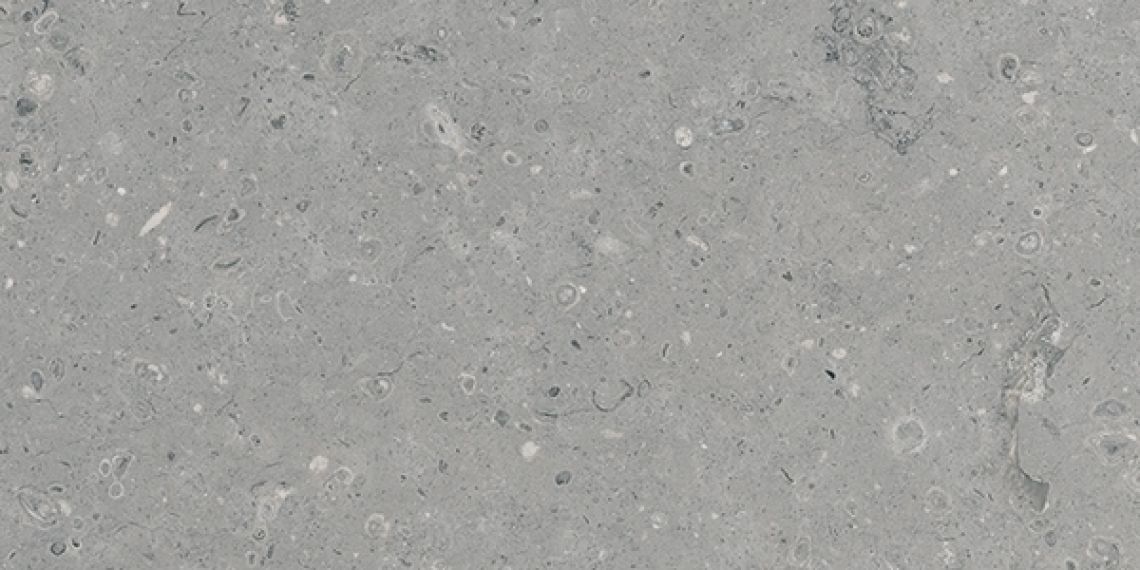 G213 Arkaim Grey MR 60x120