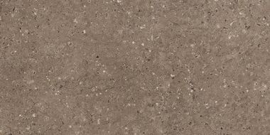 G214 Arkaim Brown MR 60x120