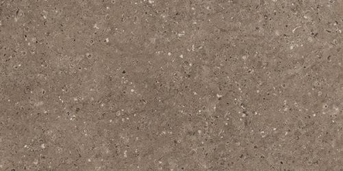 G214 Arkaim Brown MR 60x120