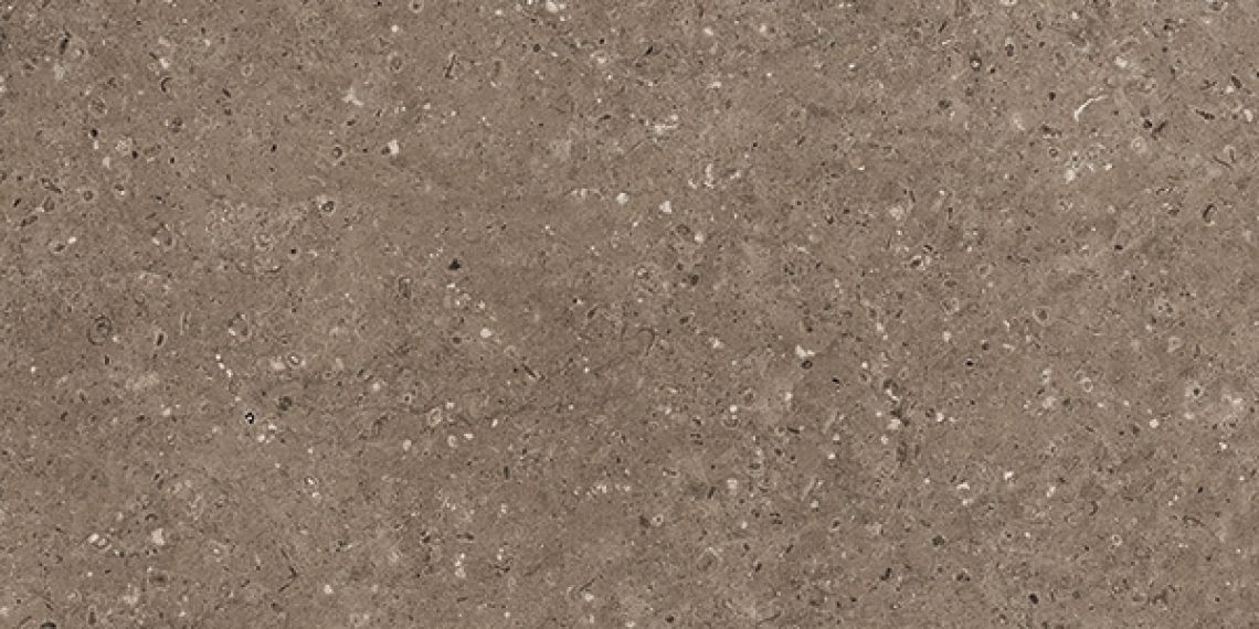 G214 Arkaim Brown MR 60x120