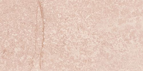 G304 Shunut Brown MR 60x120