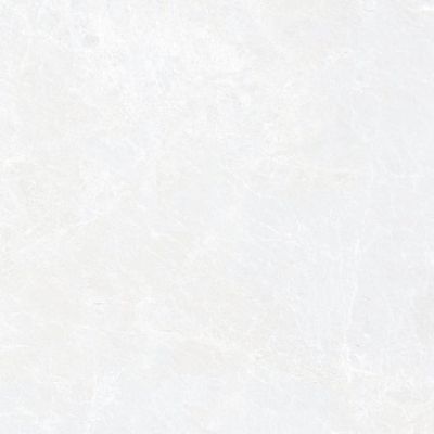 G311PR Sinara Elegant 60x60