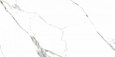 G390 Neiva White MR 60x120