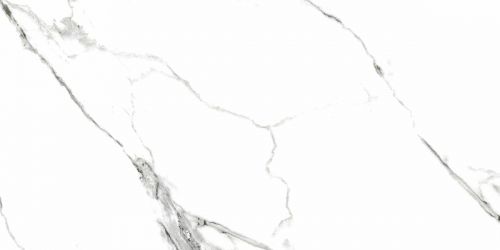 G390 Neiva White MR 60x120