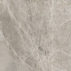 G397 Neiva Bronze MR 60x60
