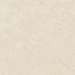 GFU04EVL08R Evolution 60x60