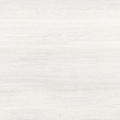 GFU04FOR04R Forest 60x60