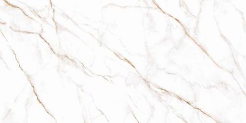GFU60120NCL04R Neo Calacatta 60x120
